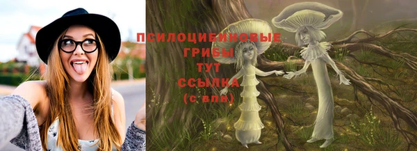 сатива Алзамай