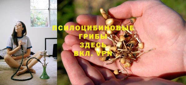 шишки Алексеевка