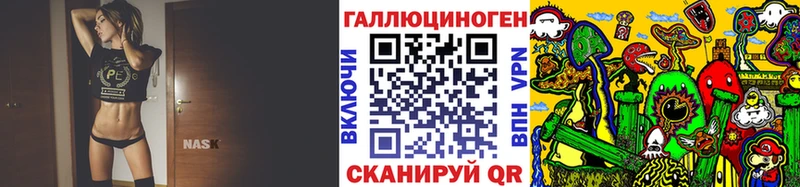 Галлюциногенные грибы Psilocybine cubensis  Гурьевск 