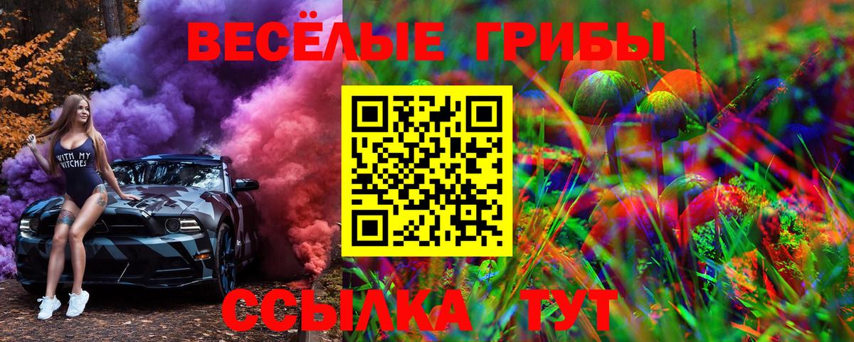 Псилоцибиновые грибы Cubensis Гурьевск