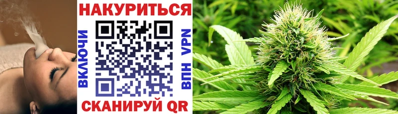 Бошки Шишки конопля  Гурьевск 