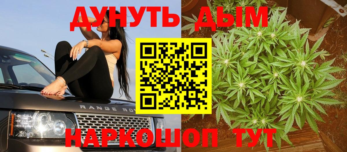 Бошки Шишки сатива Гурьевск
